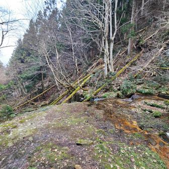 雪の気配は全くない。