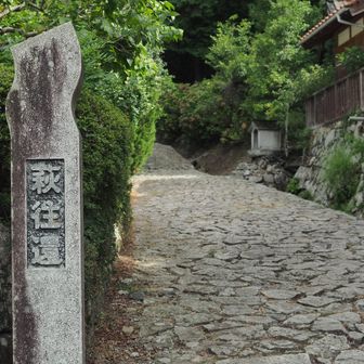 一度しっかり歩きたいな