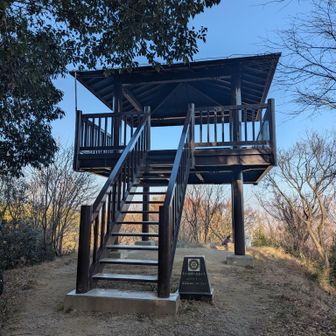 展望台を後にして