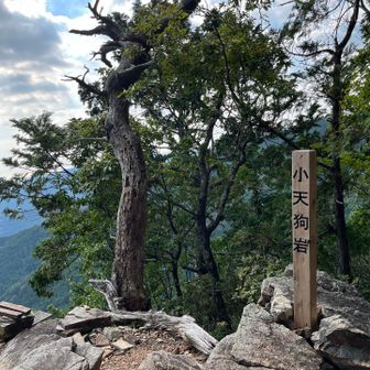下調べしすぎないのも大事よね。
