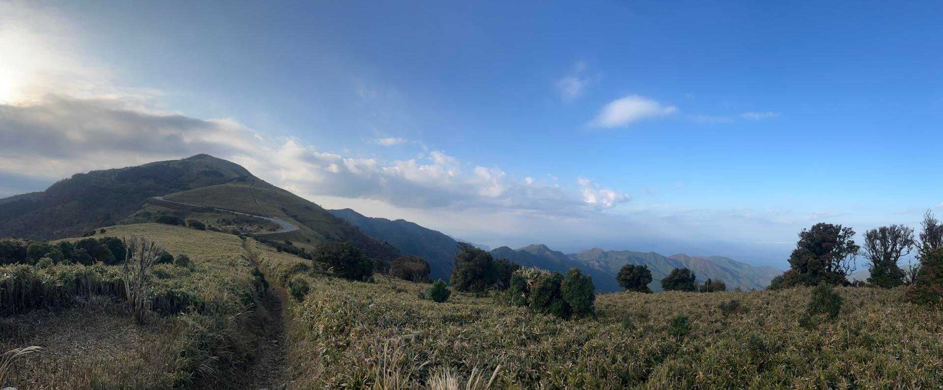 戸田峠-小達磨山-達磨山-古稀山-伽藍山 往復コースの写真