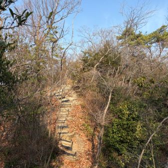 スタート時点では曇ってた空も徐々に冬の透明度を獲得