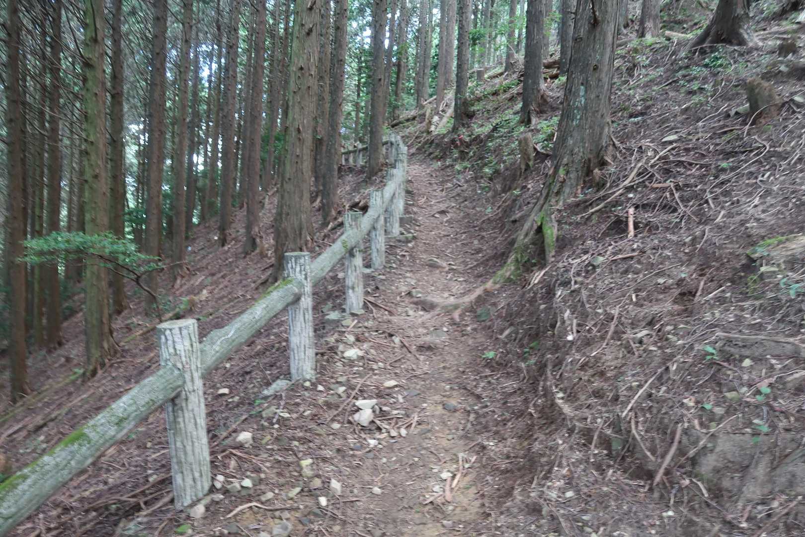 東海自然歩道と合流。横川への分岐。横川へ行けば路線バスがある