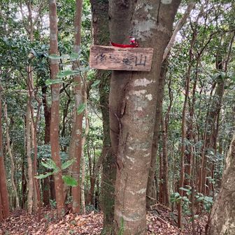 続いて西峰。こちらも眺望はほぼ無し。