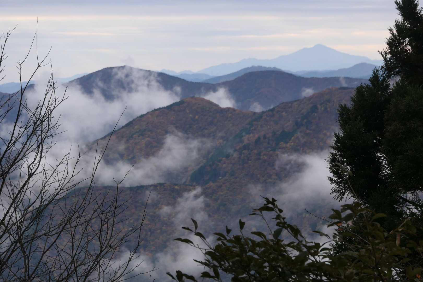 遠くに丹沢の大山が見えました。