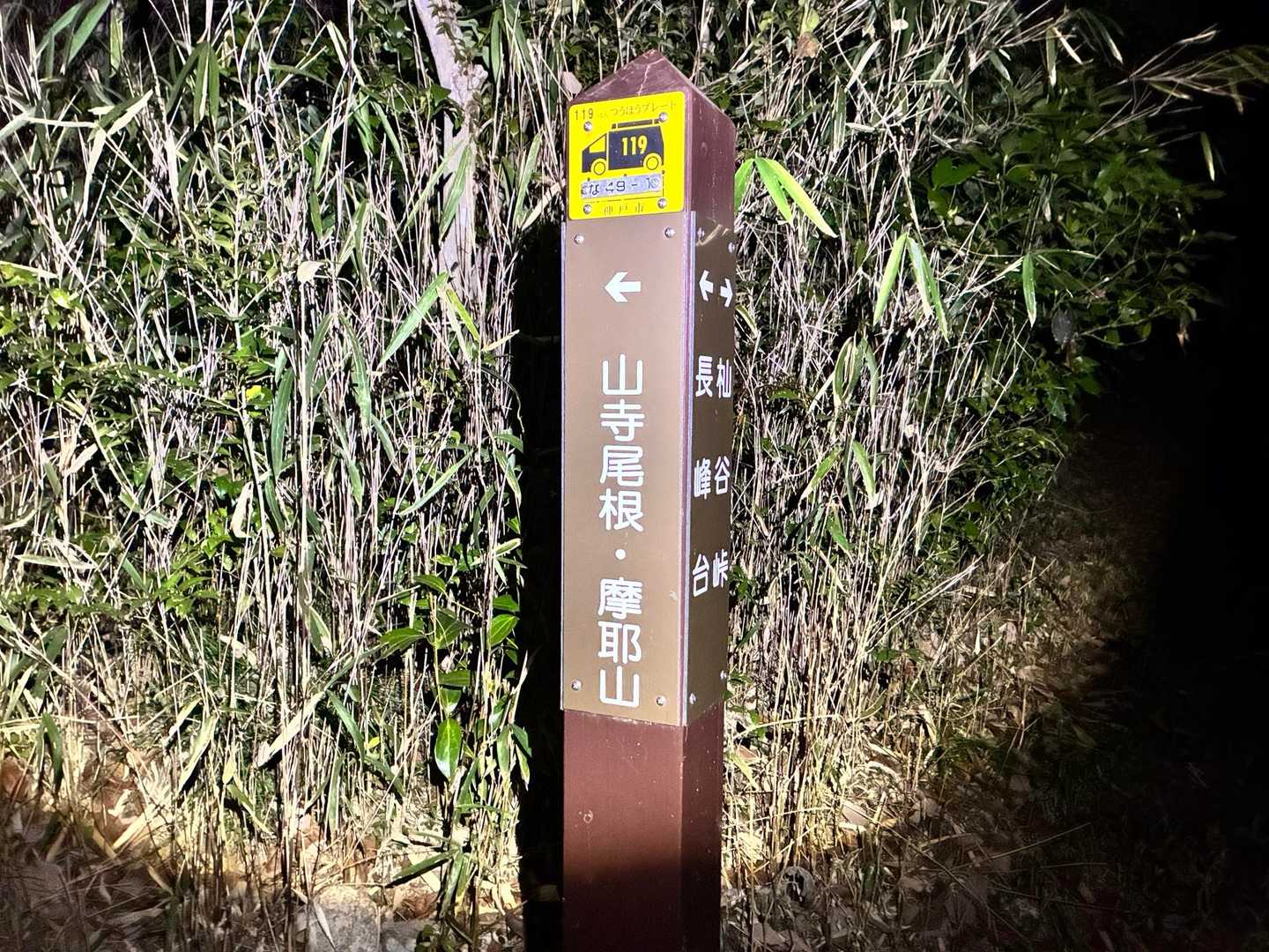 今回も山寺尾根からですね。