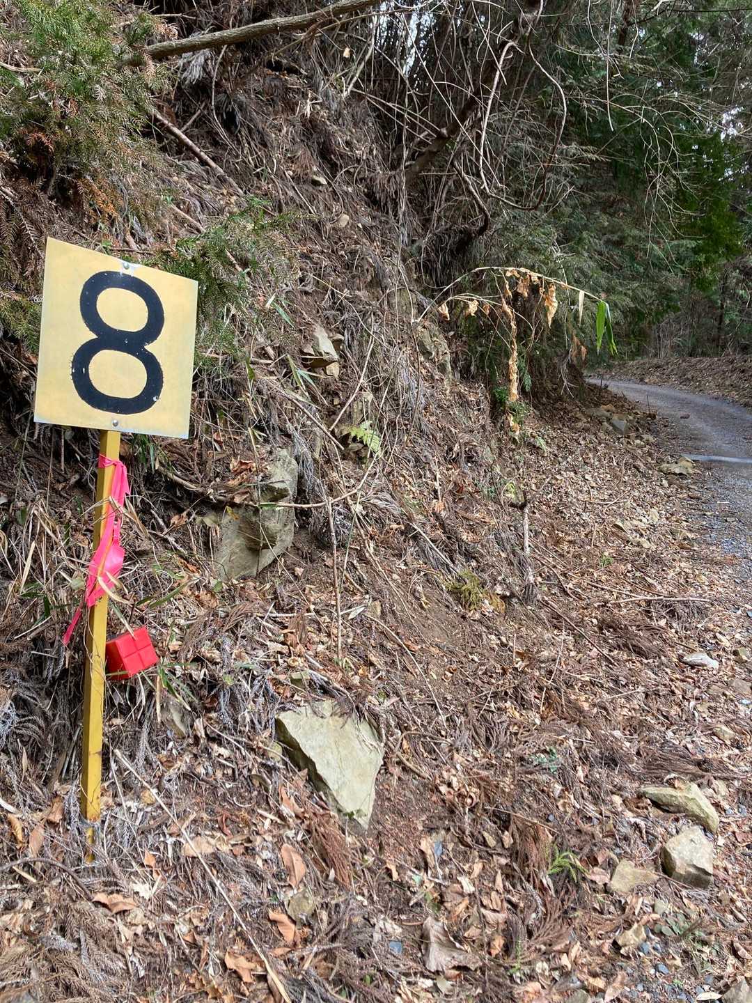 8！まだ8⁉️
ものすごく長く感じる…
