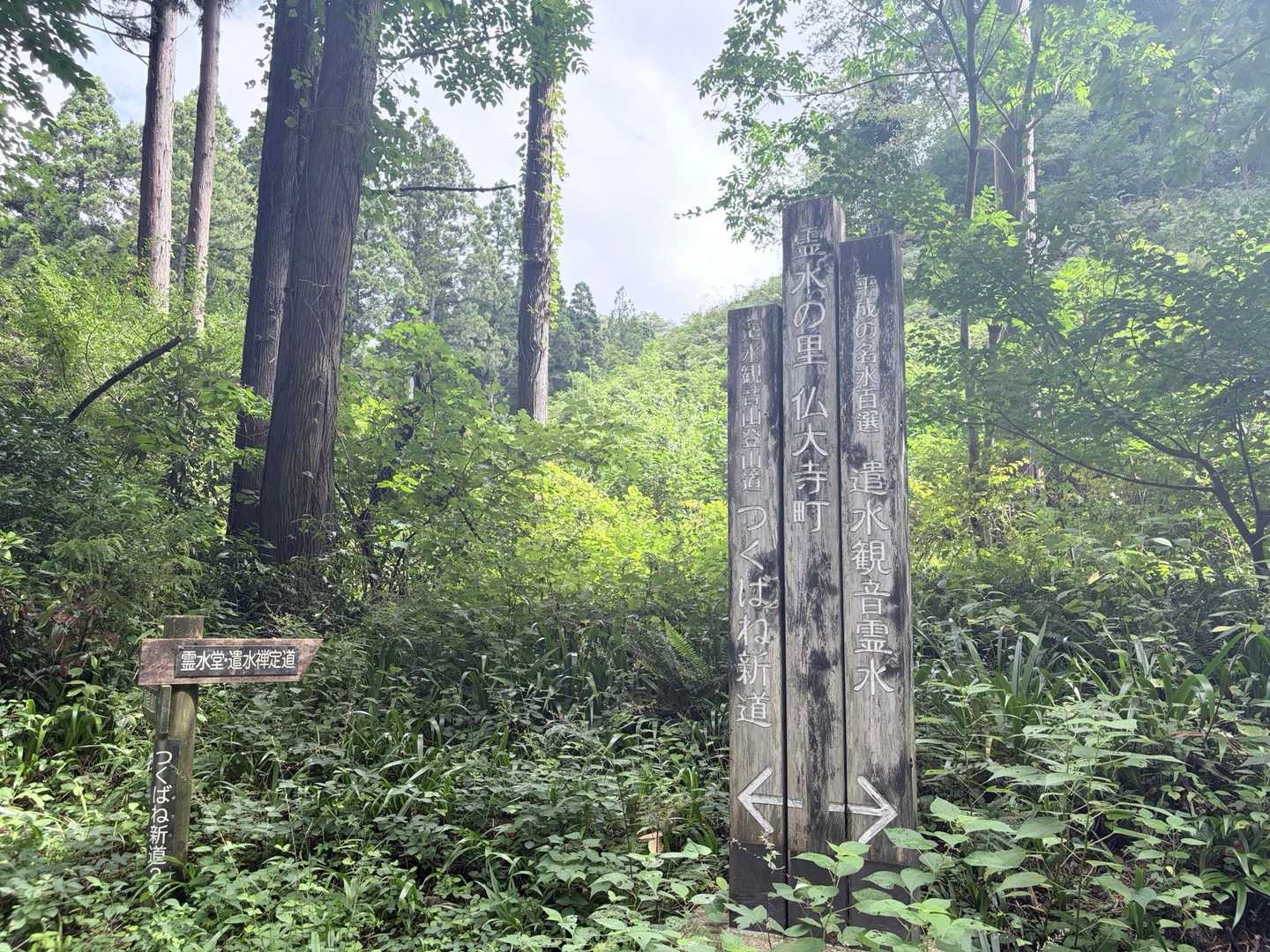 遣水観音山-遣水山観音堂 周回コースの写真