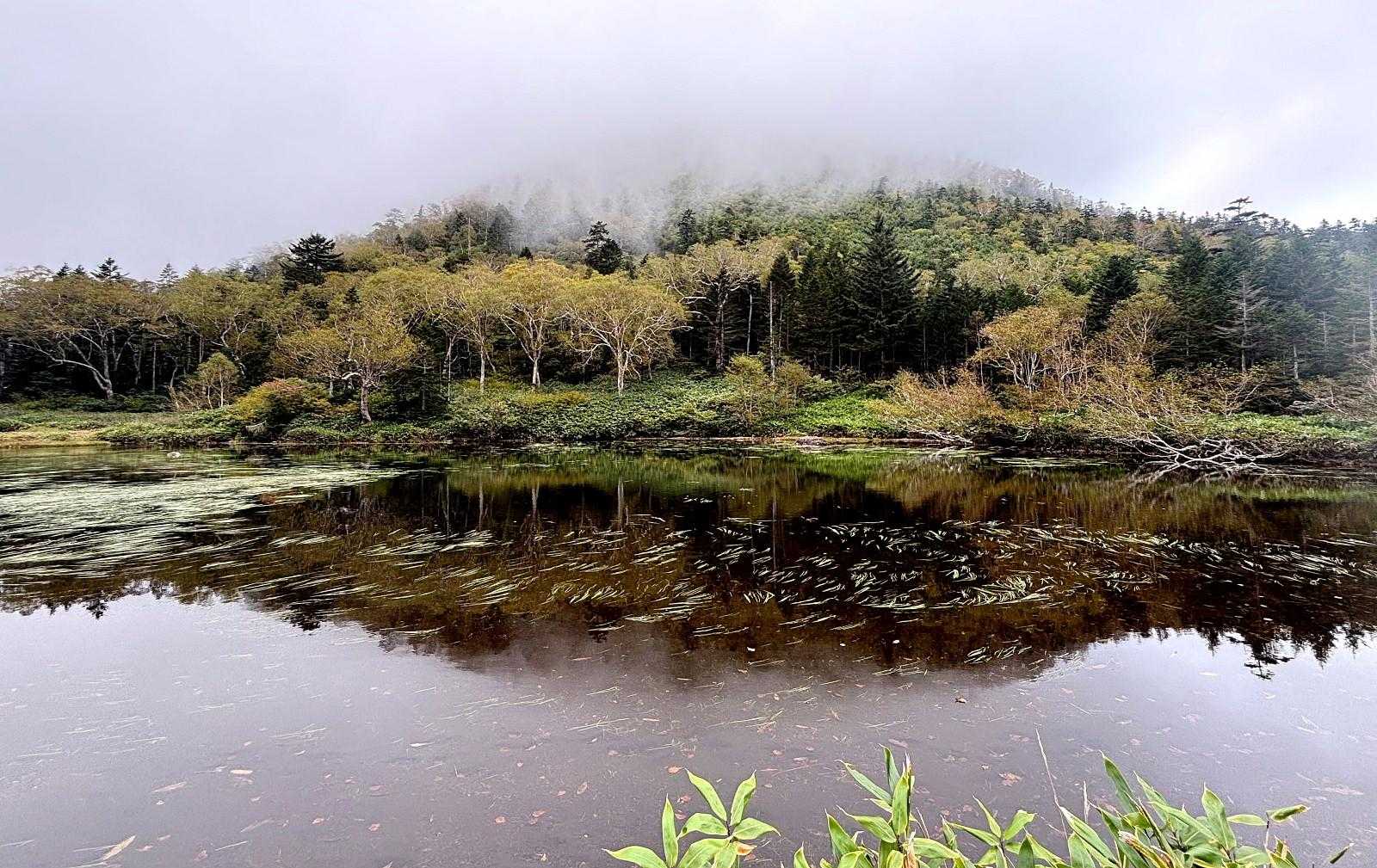 大橋登山口-種池-黒姫山-西登山口 周回コースの写真