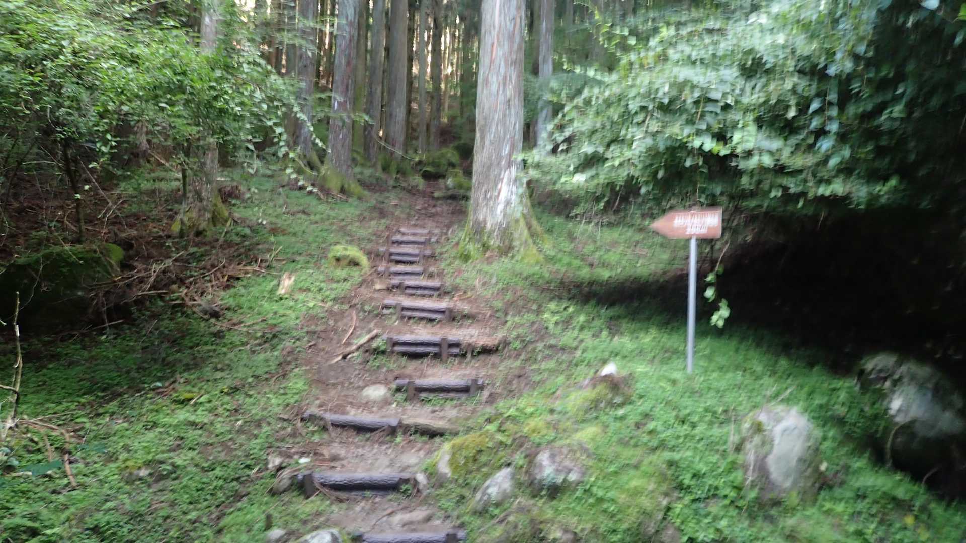 大栗山-月ヶ平-夏焼城ヶ山 往復コースの写真