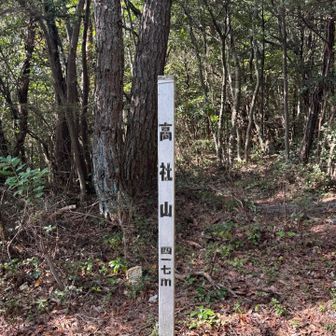 少し歩いて高社山着いたどー‼️