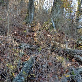 どれが道だか分からない