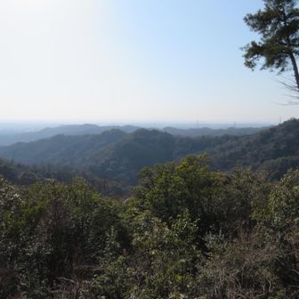 武田道の途中からの展望