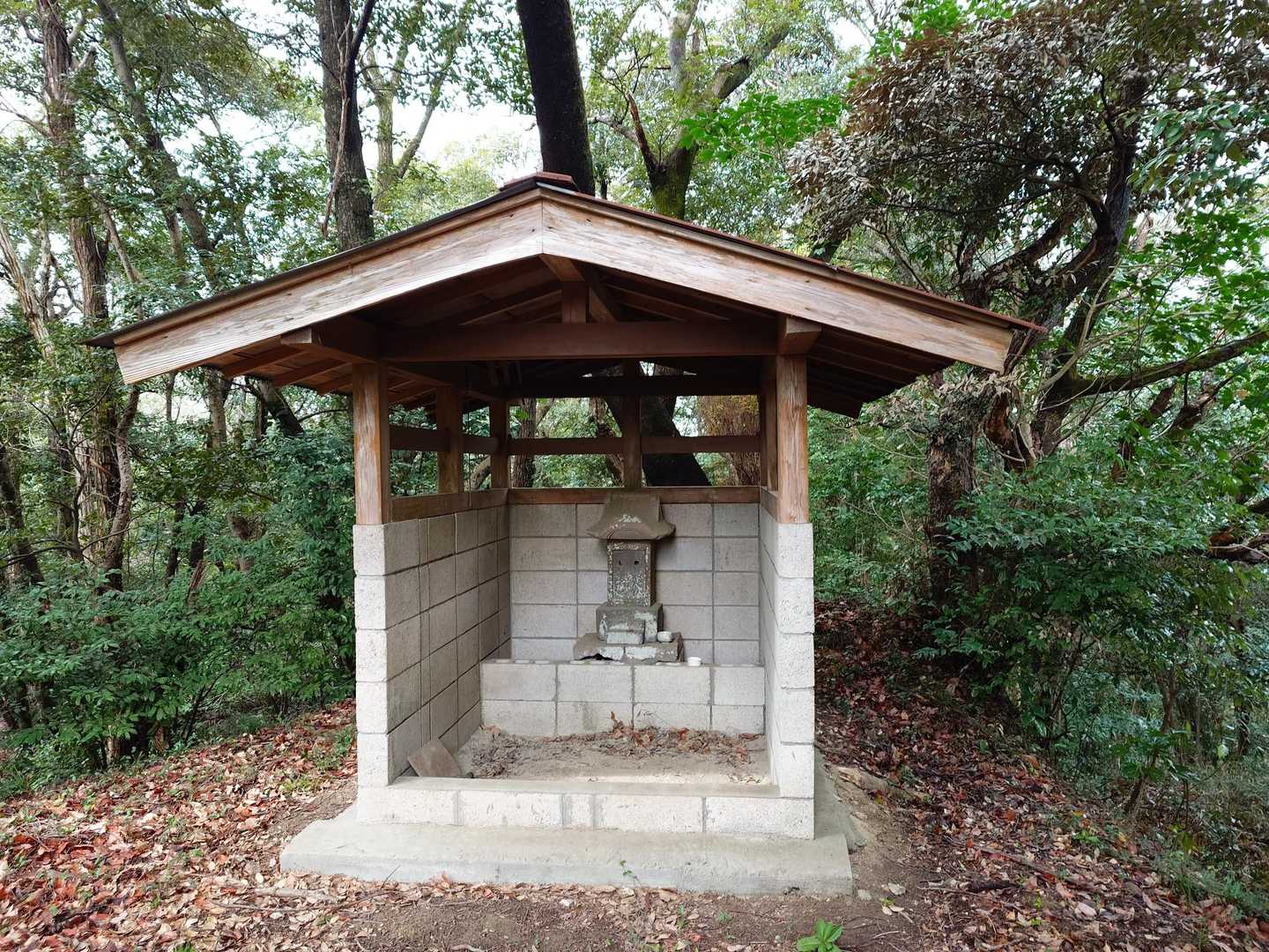 パパ山-取り付き-取り付き 周回コースの写真