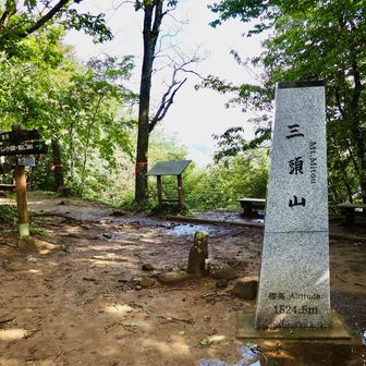 到着、三頭山西峰
前回ダムから登った時もガスでした