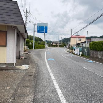 ここから苦行となる12㎞の一般道ウォーキング開始です😔
道端のお花鑑賞が唯一の楽しみでした🌸