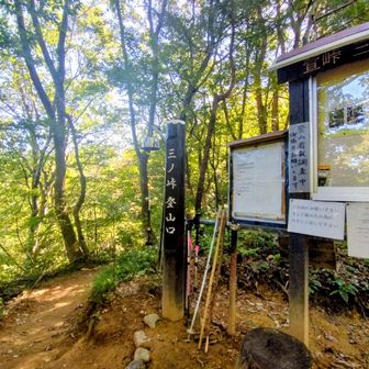 お久しぶりの三ノ峠山▲
今日はサンキュー（39番目）です🤗