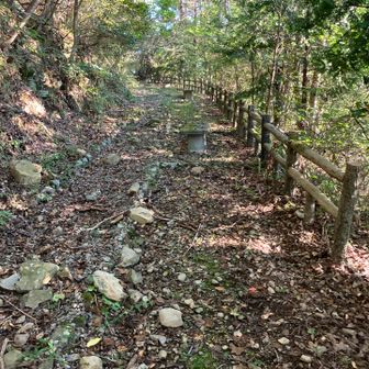 下り道で間違えたので記念に。眺望の無いベンチは行き止まりと竜王山d