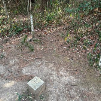 屋島南嶺
中央部なので展望がなし