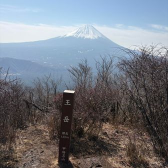 王岳。山頂は狭いのであまりのんびりする感じではないかも