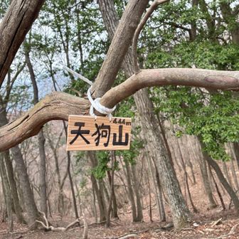 天狗山
