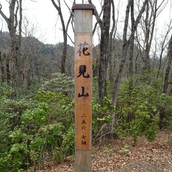 花見山
標高256m