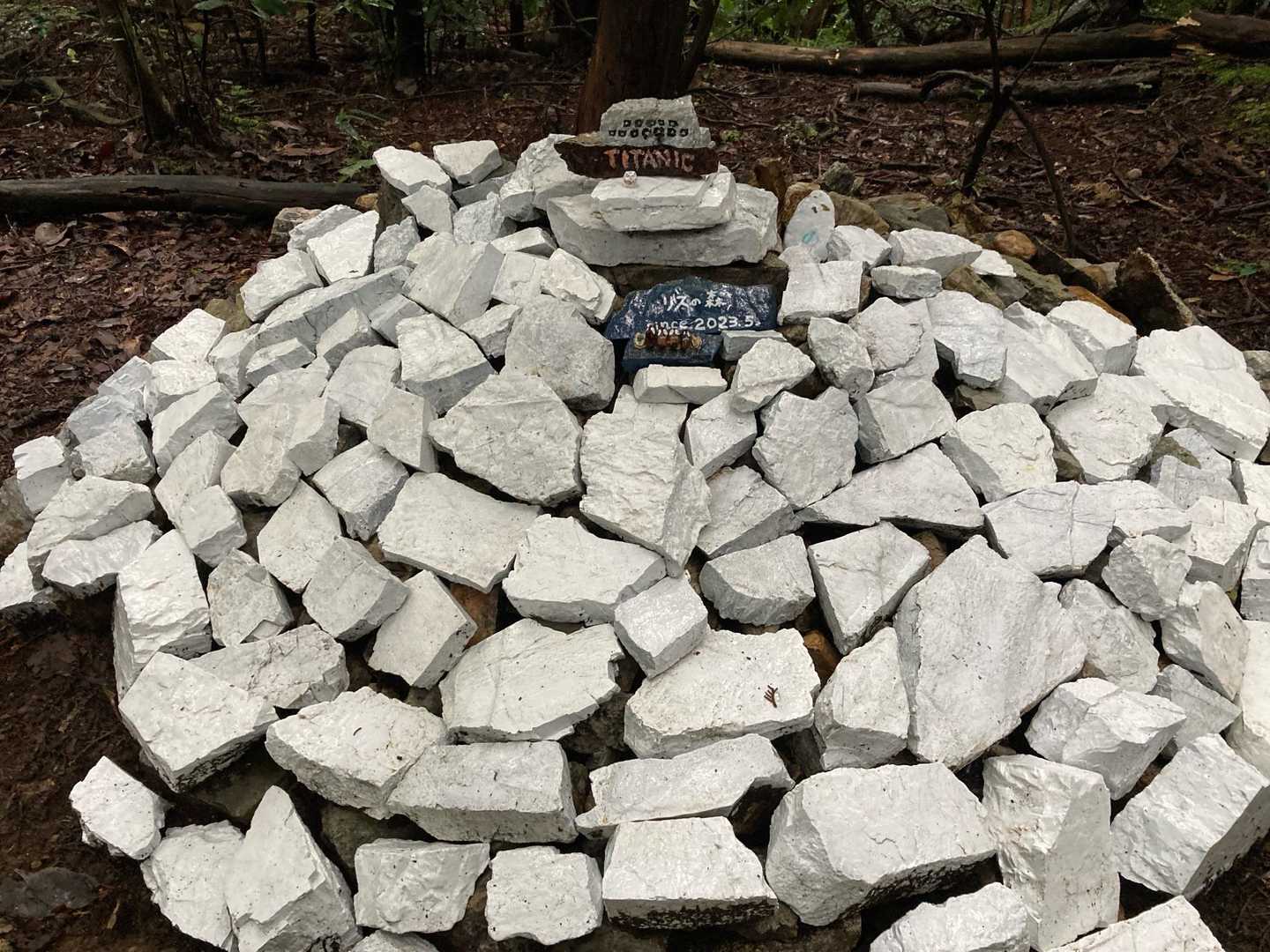 米田白山 周回コースの写真