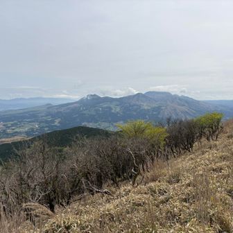 高岳を外輪山から望む