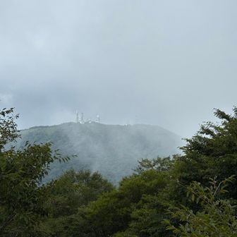 天空の電波塔📡