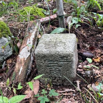 三等三角点
神ヶ峰　508.60m