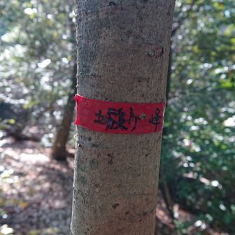 ３座目
城ヶ峰へ