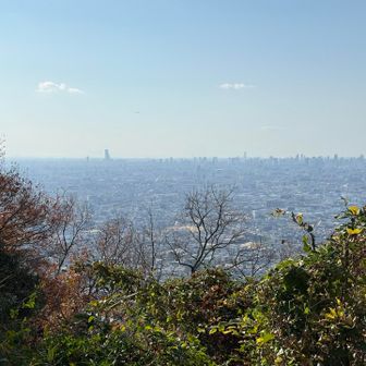 飯盛山山頂から大阪の街