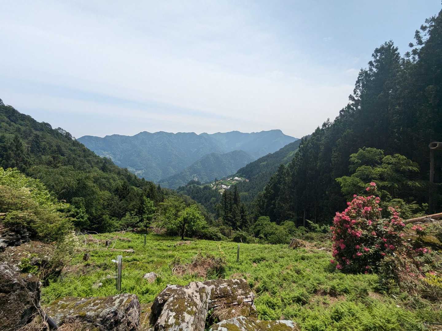 お寺からの景色を眺めつつ小休止。
まだまだ序盤なのに汗がポタポタ💦
そよぐ風が心地よし🍃