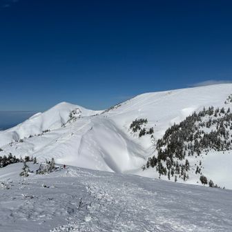 バイバイ割引！