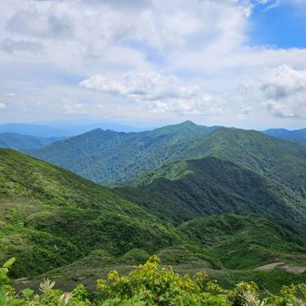 来た尾根