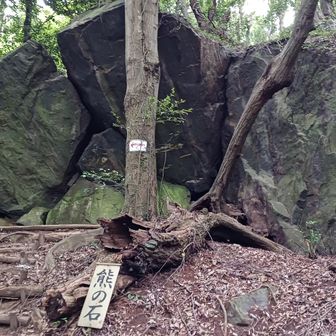 熊の石