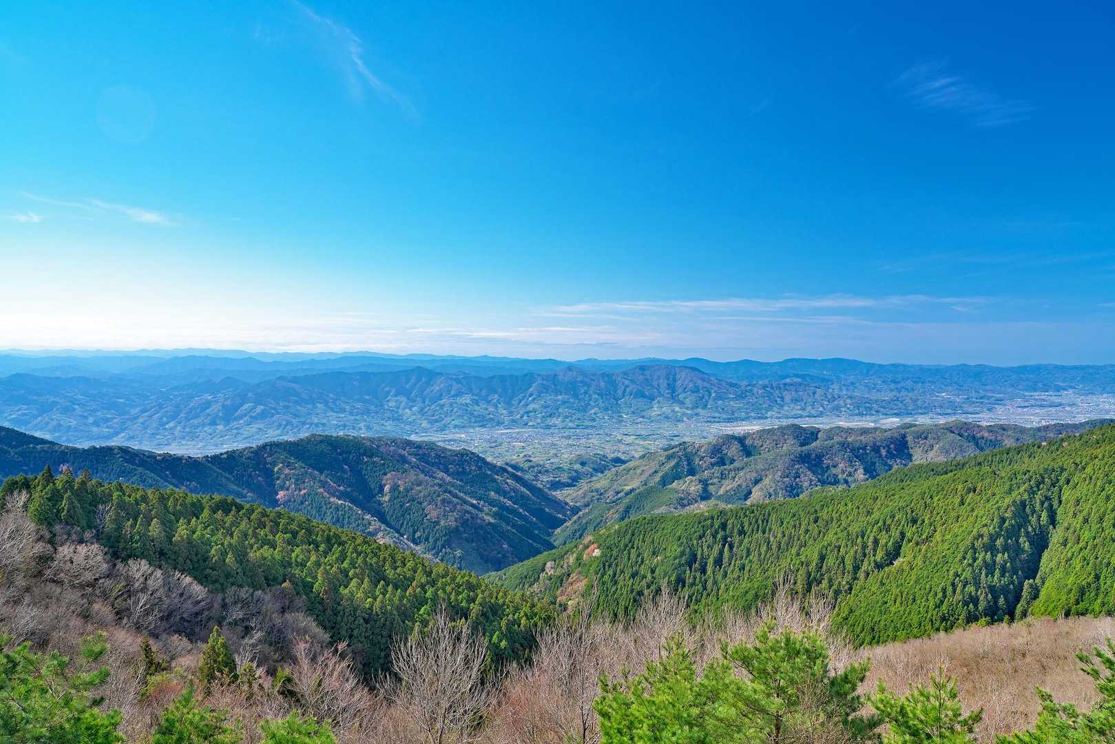 山のおもてなし｜和泉葛城山ブナ林と牛滝渓谷・自然ハイキングの写真