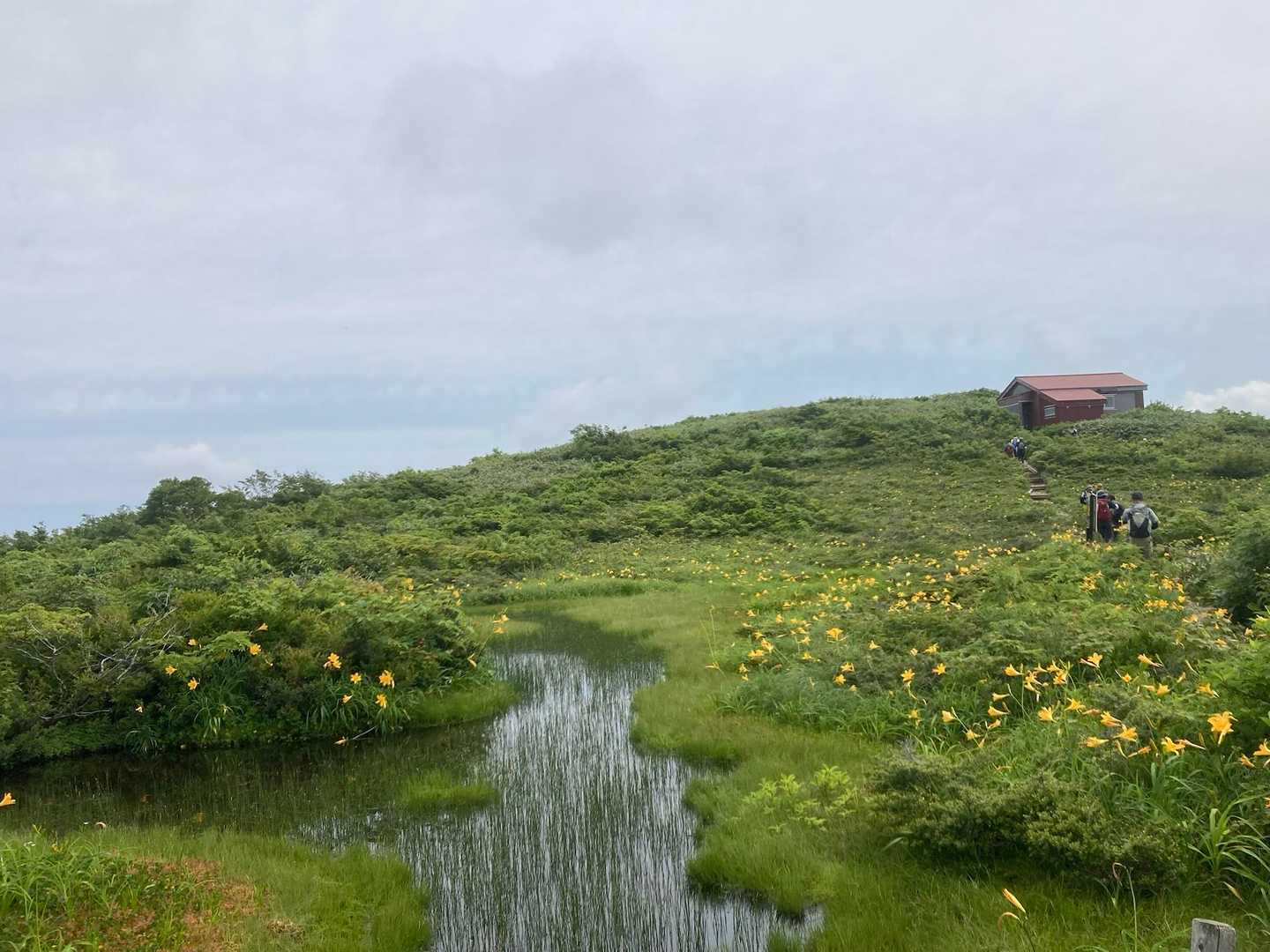 赤兎山往復 | 白山を間近に望む、赤池と高山植物が広がる福井唯一の高層湿原の写真