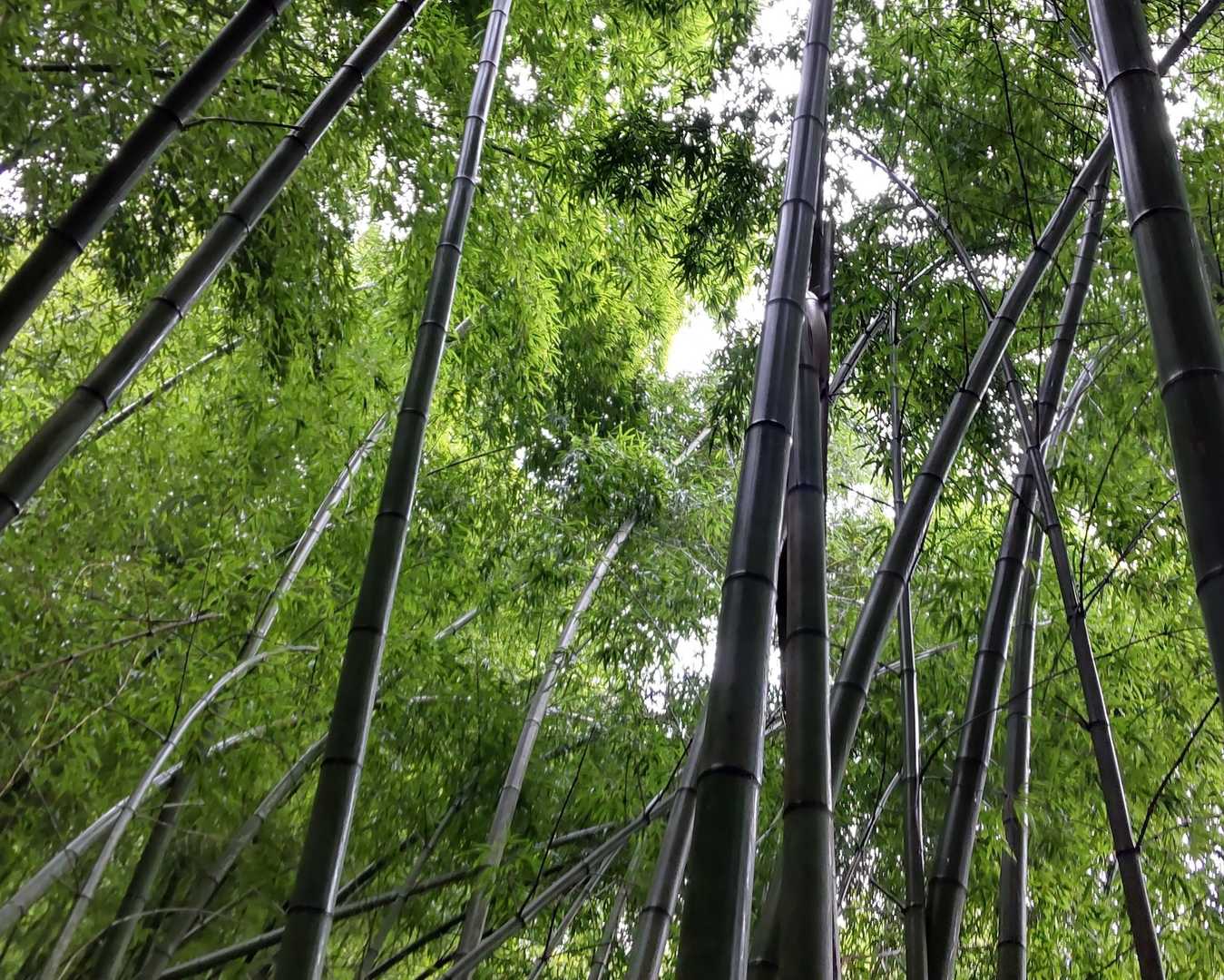 本当に綺麗…
