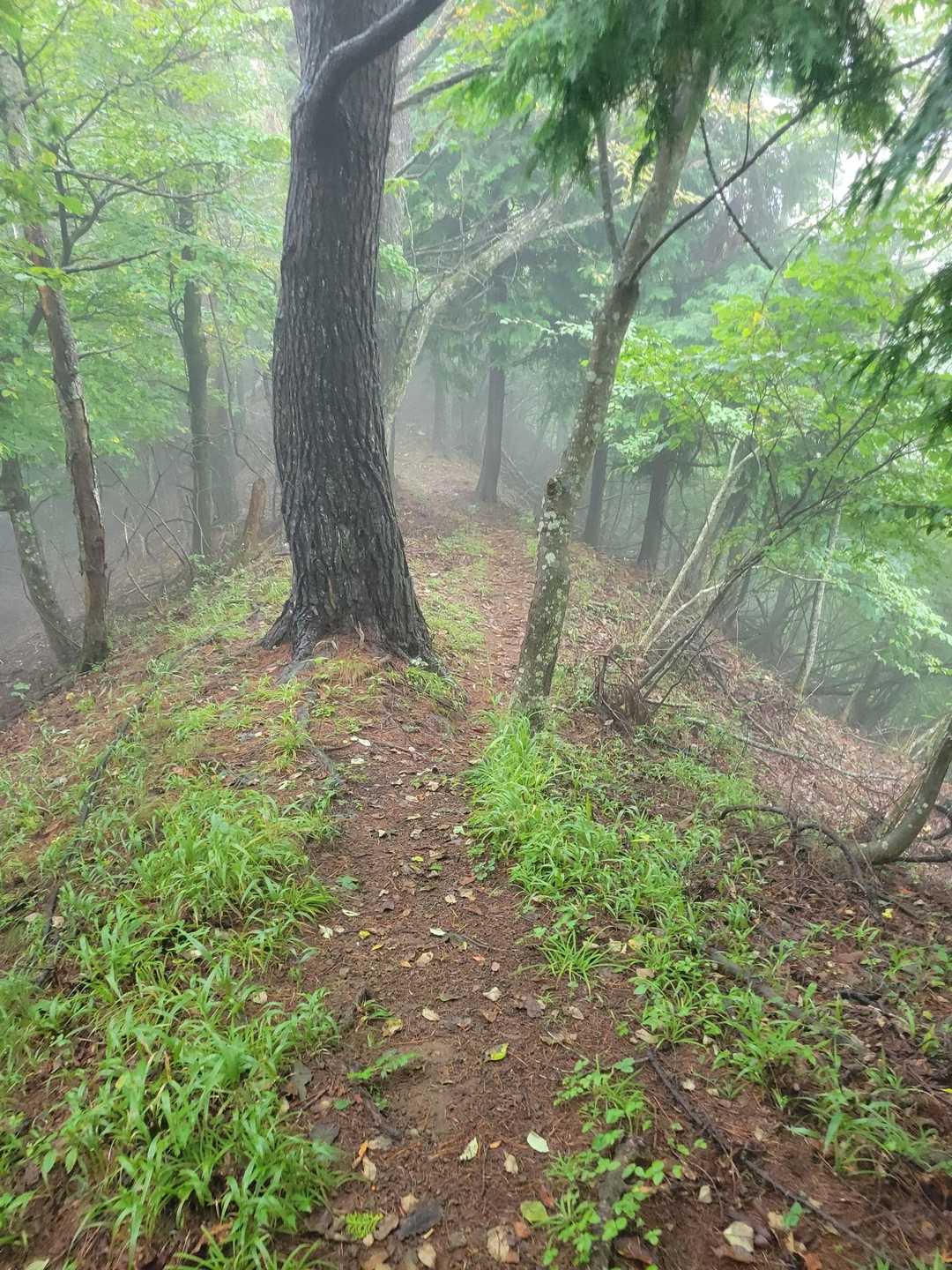 周回コースから下山します🐾
