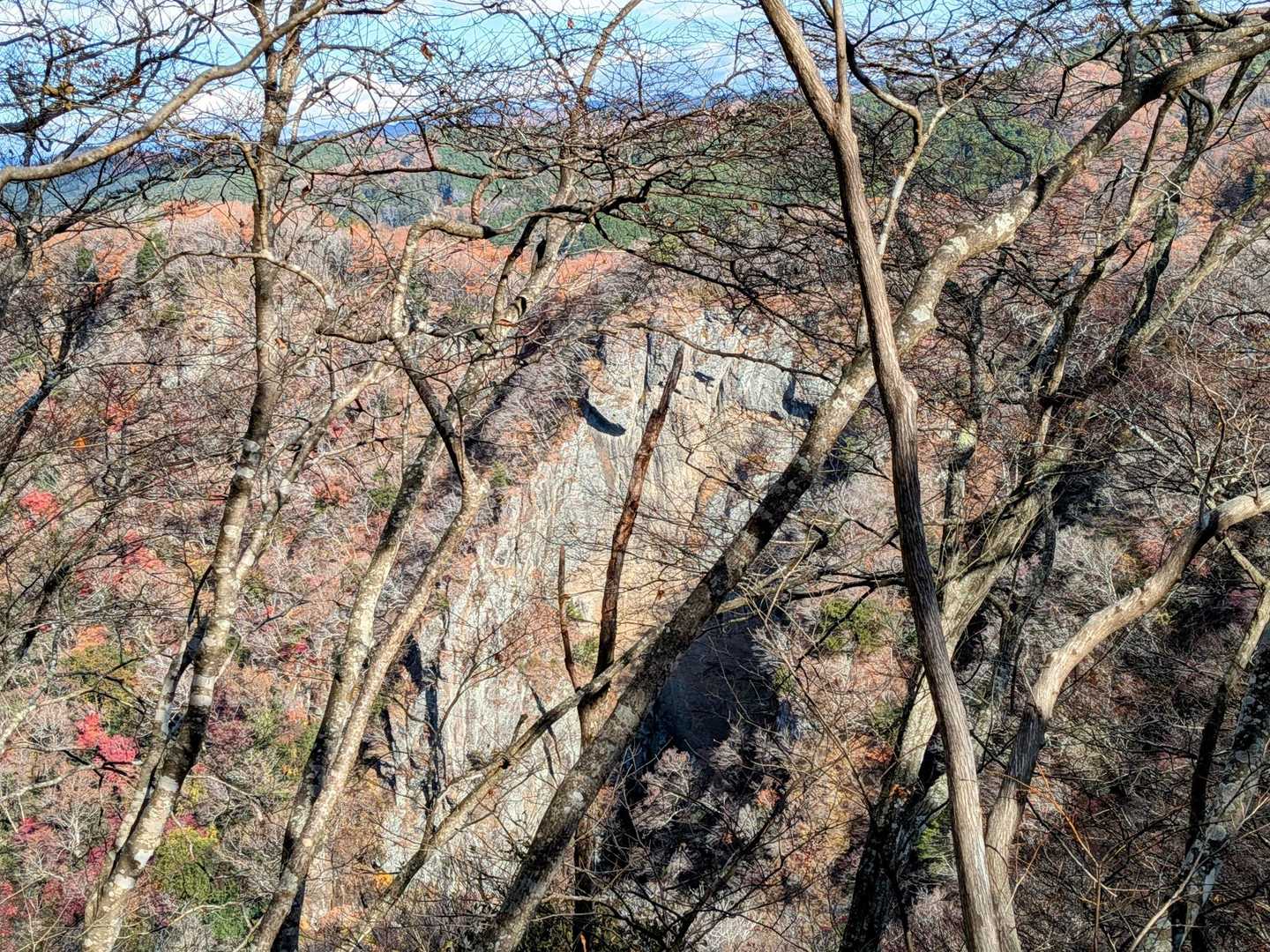滝のぞきの岩面🔎🔍