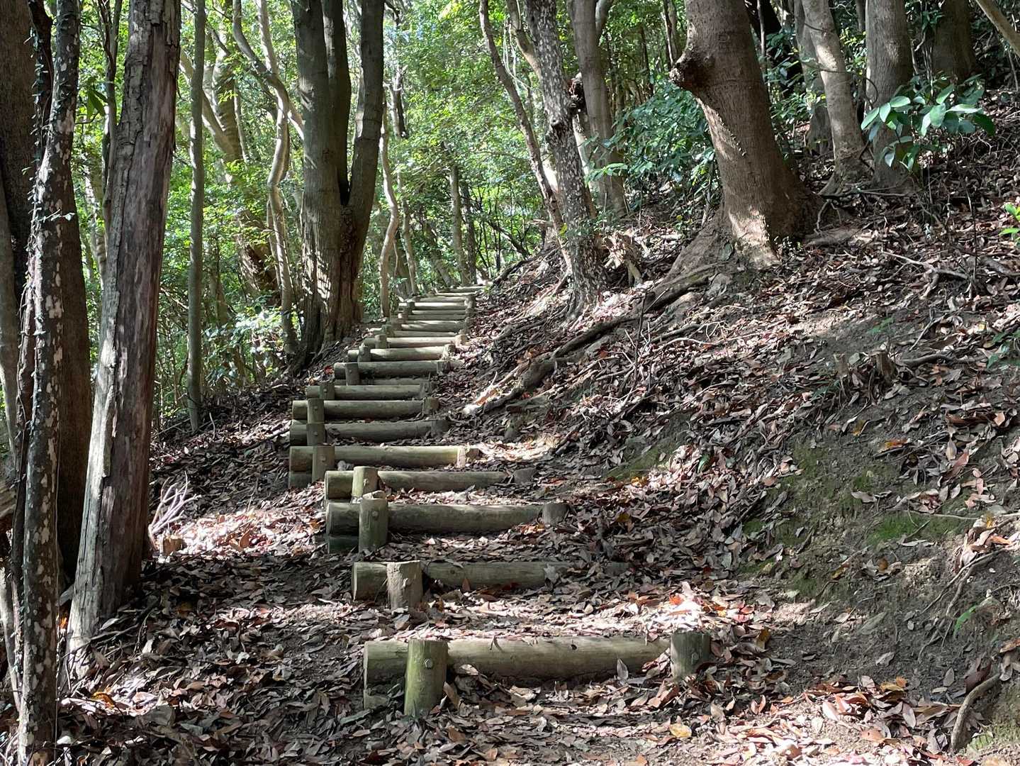 建郷山近くの登り
もう、足が上がらない