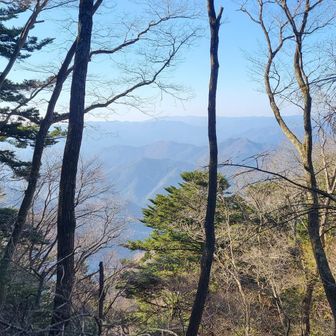 山頂で少し眺望あり。
竜頭山方面かな。