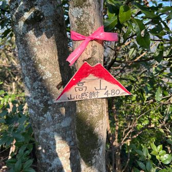 そして、ラスト7座目「高山」