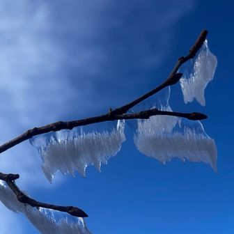 すっごく不思議で綺麗なの見つけた(☆ω☆)みつけた