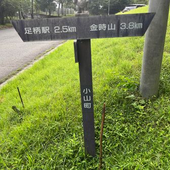 標識の横の棒は、本日のバディ。よく働いてくれました。🤗