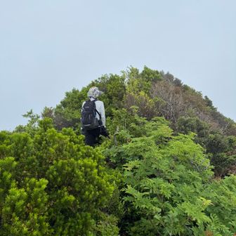 えっ〰︎？
嘘でしょ！
こんなところにお1人で、どこから来られましたか？
（撮影許可とヤマップ掲載許可を得ている😅）
川床登山口から大休峠を通り〜甲ヶ山の向こうの勝田ヶ山からターンして来ました〜。
なんと、、こんなに、登山道が薮化したところを、、それからこんな急斜な、、
まあでも、行き先が一緒だったので
りゅうじ「後ろ、付いて行って良いですか？」
彼女様「あ、良いですよ。」「この先、危険な下りもあるので」

寝不足は吹っ飛ばなかったが、こんなところに1人で来る彼女の足取りは鍛錬されたものであった。
そこで登山歴を、聞いてみた〜。😅
「昨年の9月くらいから登山を始めました」
りゅうじ「えっ、、それでもう、ソロでこんなところに来たの？」
（以下、略）😅