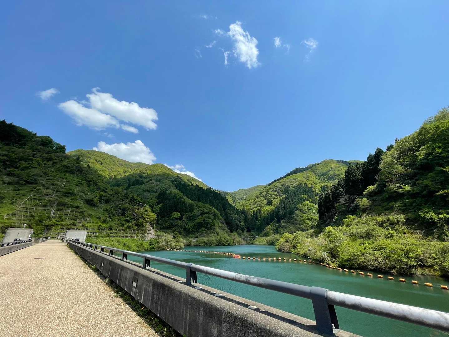 大佛寺山 往復コースの写真