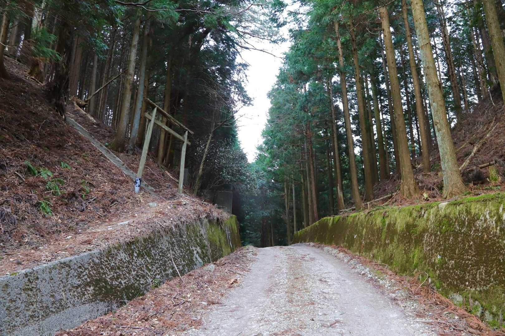 小峠へ降りてきました