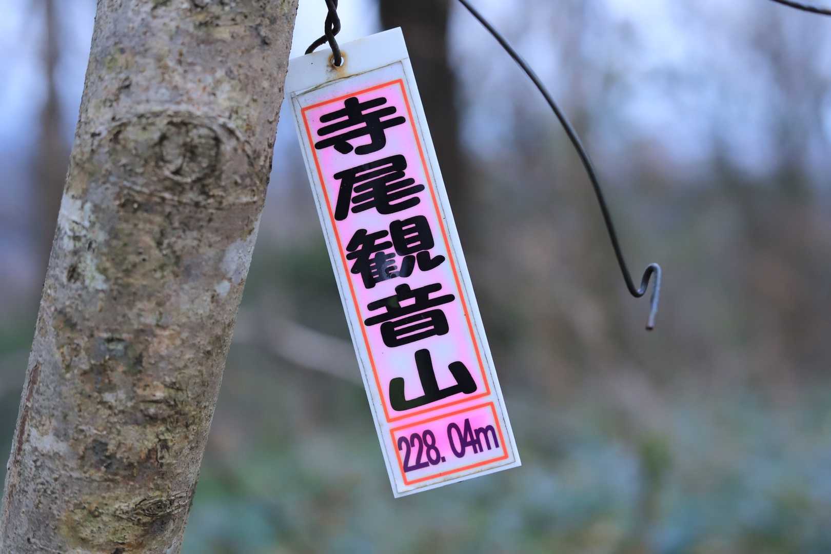 頂上へ着きました🙌✨
※神社から少し上がった所にありますよ😊